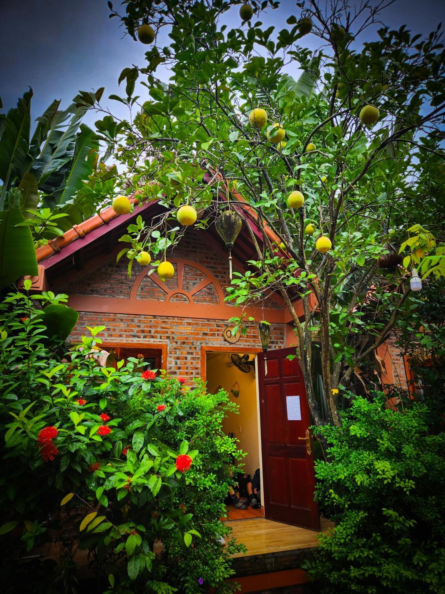 Trang An Village Homestay Ninh Binh Buitenkant foto